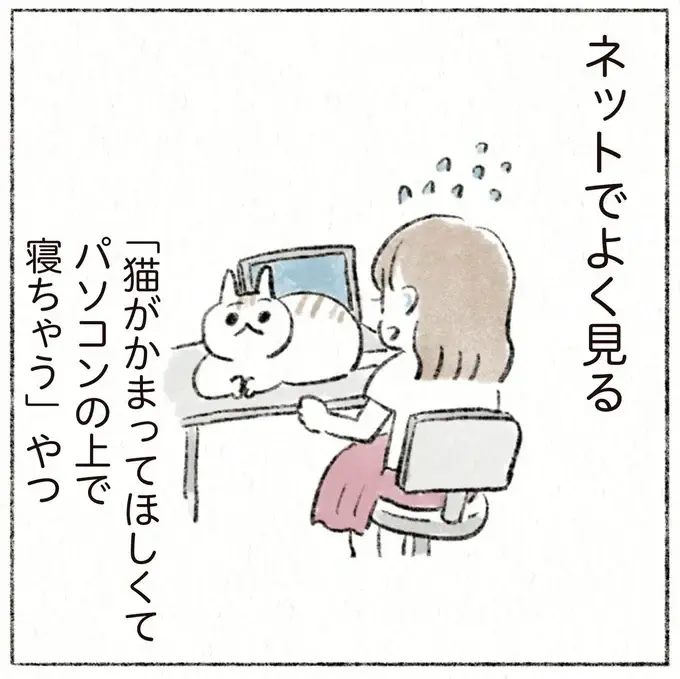 ネットで見かける「猫あるある」うちの猫の場合、見事なまでに...!?／うちの猫は今日も塩対応（1）