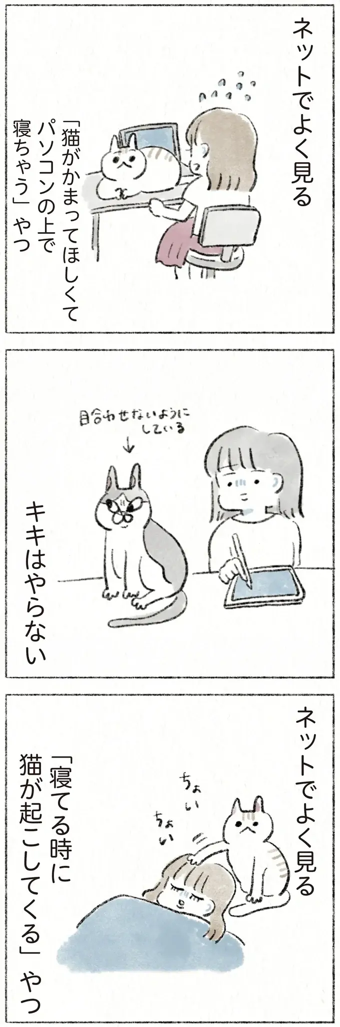 ネットで見かける「猫あるある」うちの猫の場合、見事なまでに...!?／うちの猫は今日も塩対応（4）