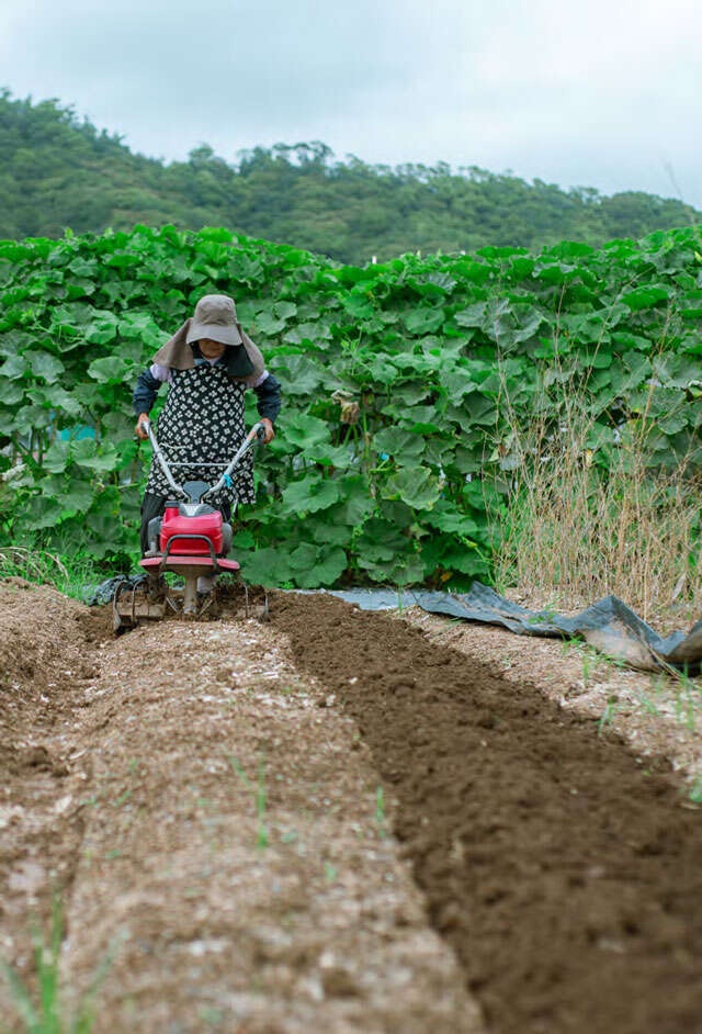 手間ひまこそが人生の栄養。80代"農チューバー"ひろちゃんの「ご機嫌な暮らし」の耕し方（2）
