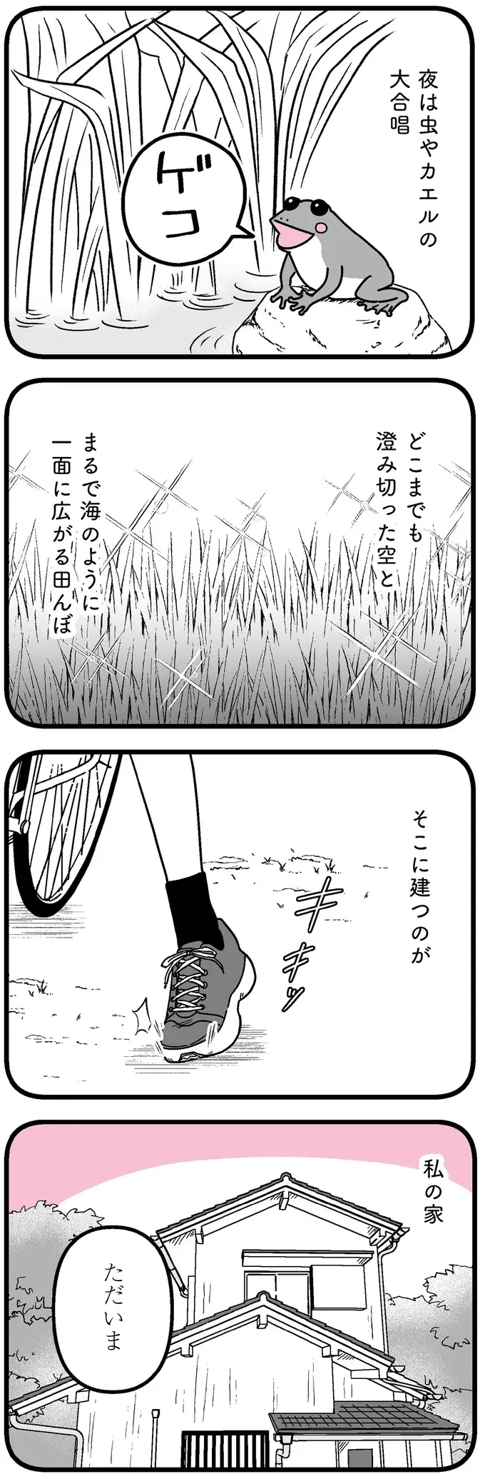 母と祖母との退屈だけど平穏な田舎暮らし。女子高生の日常が崩れた日／人生もっとうまくやれたのに（3）