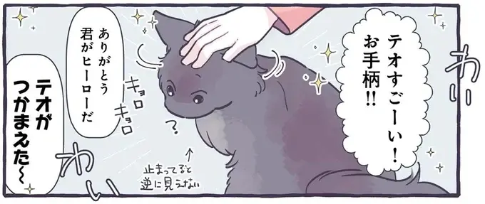 おてがら猫！ 家族が退治できなかった蚊を...そんなことできるの!?／るしこの子育て日記4（1）
