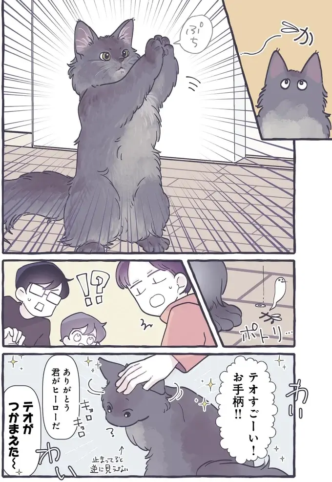 おてがら猫！ 家族が退治できなかった蚊を...そんなことできるの!?／るしこの子育て日記4（4）