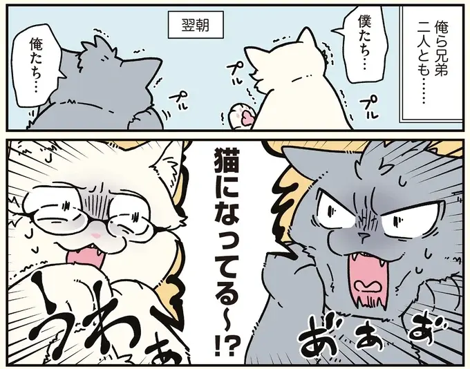 実家で会社のブラック自慢をしていた兄と弟。目覚めたら猫に!?／ブラック企業の社員が猫になって人生が変わった話8（4）