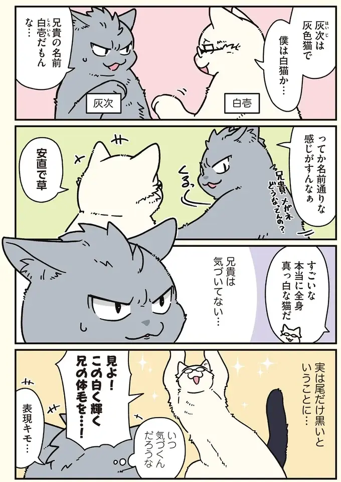 実家で会社のブラック自慢をしていた兄と弟。目覚めたら猫に!?／ブラック企業の社員が猫になって人生が変わった話8（5）