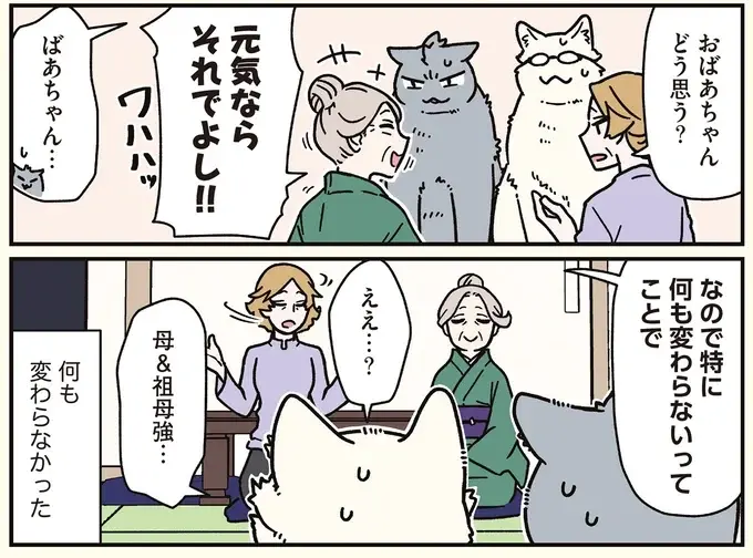 実家で会社のブラック自慢をしていた兄と弟。目覚めたら猫に!?／ブラック企業の社員が猫になって人生が変わった話8（7）
