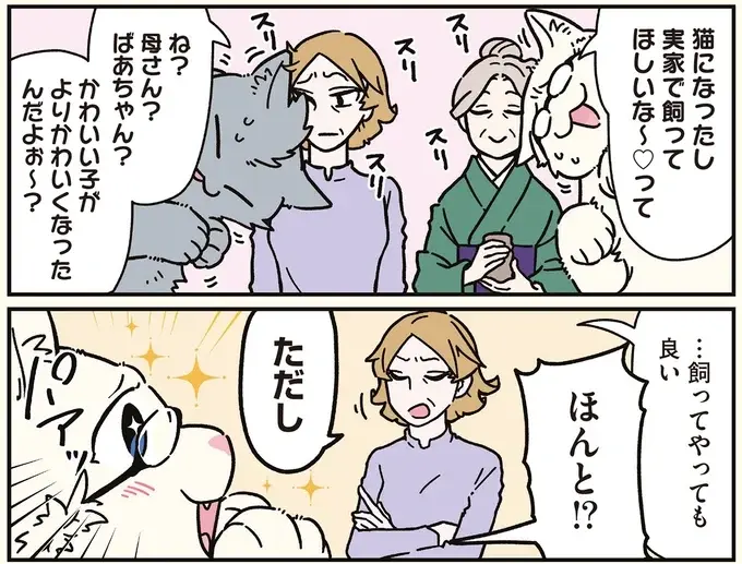 実家で会社のブラック自慢をしていた兄と弟。目覚めたら猫に!?／ブラック企業の社員が猫になって人生が変わった話8（10）