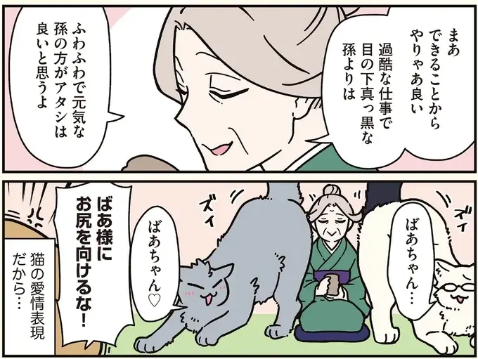 実家で会社のブラック自慢をしていた兄と弟。目覚めたら猫に!?／ブラック企業の社員が猫になって人生が変わった話8（13）