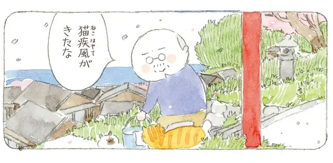 「海は荒れとるだろうなぁ」島の春に吹く猫疾風。まるで猫が駆け抜けていったよう／ねことじいちゃん12（1）