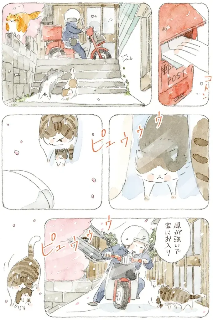 「海は荒れとるだろうなぁ」島の春に吹く猫疾風。まるで猫が駆け抜けていったよう／ねことじいちゃん12（6）
