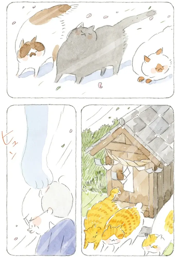 「海は荒れとるだろうなぁ」島の春に吹く猫疾風。まるで猫が駆け抜けていったよう／ねことじいちゃん12（8）