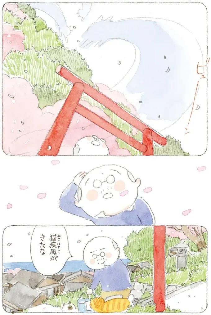 「海は荒れとるだろうなぁ」島の春に吹く猫疾風。まるで猫が駆け抜けていったよう／ねことじいちゃん12（9）
