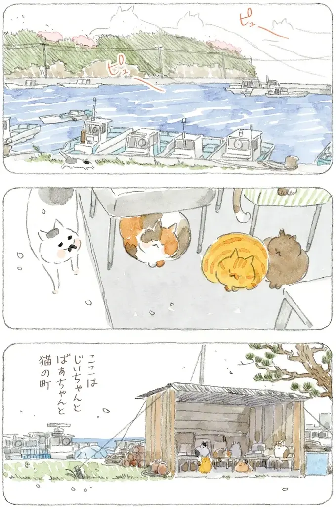 「海は荒れとるだろうなぁ」島の春に吹く猫疾風。まるで猫が駆け抜けていったよう／ねことじいちゃん12（10）