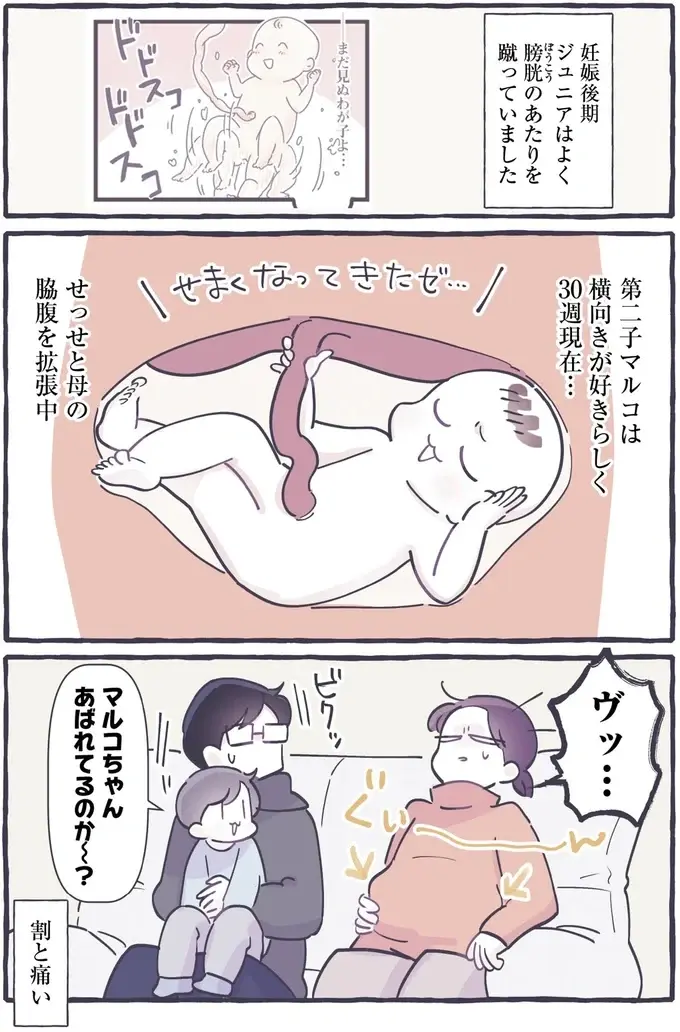 妊娠後期、予定通りに大きくなったお腹の「横側が痛い理由」は...ヴッ／るしこの子育て日記4（3）