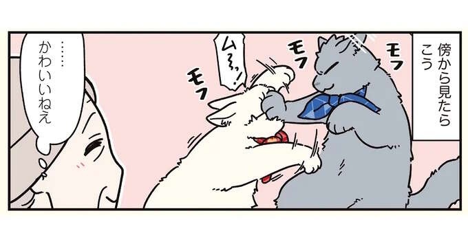 「かわいいねぇ」傍から見たら微笑ましい、猫兄弟の喧嘩／ブラック企業の社員が猫になって人生が変わった話8（1）