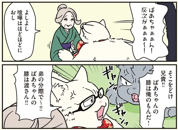 「かわいいねぇ」傍から見たら微笑ましい、猫兄弟の喧嘩／ブラック企業の社員が猫になって人生が変わった話8（5）