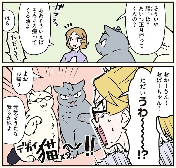 「猫のかわいさなめんなよ？」 妹に可愛さ自慢する猫になった兄たち／ブラック企業の社員が猫になって人生が変わった話8（3）