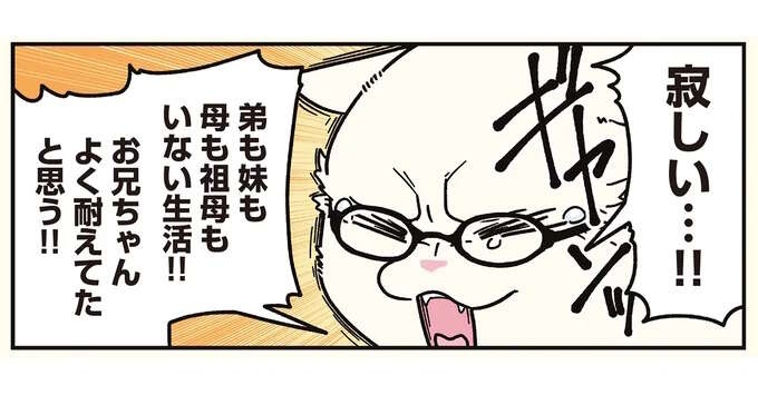 「すんげぇ高年収」だった天才の兄。猫になって明かされた「心の闇」／ブラック企業の社員が猫になって人生が変わった話8（1）