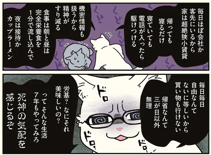 「すんげぇ高年収」だった天才の兄。猫になって明かされた「心の闇」／ブラック企業の社員が猫になって人生が変わった話8（5）