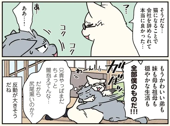 「すんげぇ高年収」だった天才の兄。猫になって明かされた「心の闇」／ブラック企業の社員が猫になって人生が変わった話8（8）