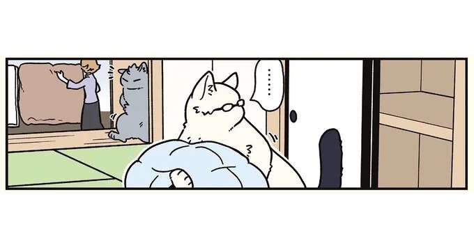押入れを見たら入らずにはいられない...。猫になった兄と弟／ブラック企業の社員が猫になって人生が変わった話8（1）