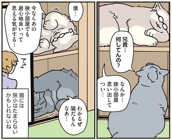 押入れを見たら入らずにはいられない...。猫になった兄と弟／ブラック企業の社員が猫になって人生が変わった話8（4）