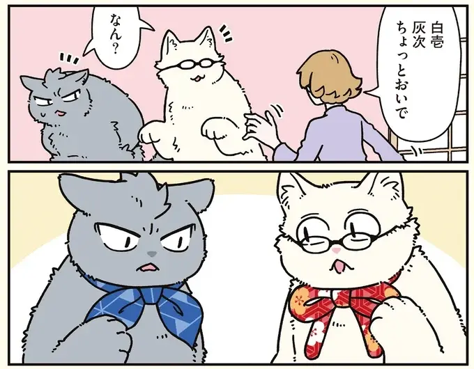 押入れを見たら入らずにはいられない...。猫になった兄と弟／ブラック企業の社員が猫になって人生が変わった話8（5）