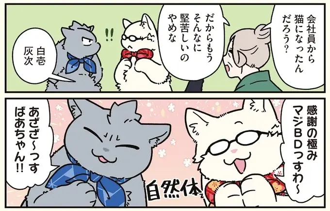 押入れを見たら入らずにはいられない...。猫になった兄と弟／ブラック企業の社員が猫になって人生が変わった話8（7）