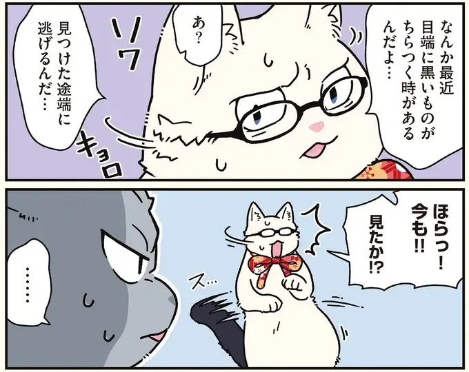 目の端に黒いものがちらつく...猫になった兄を脅かすものの正体／ブラック企業の社員が猫になって人生が変わった話8（4）