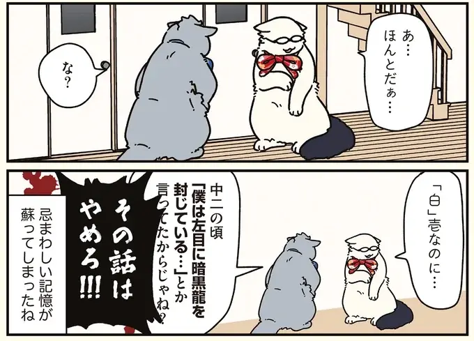 目の端に黒いものがちらつく...猫になった兄を脅かすものの正体／ブラック企業の社員が猫になって人生が変わった話8（11）
