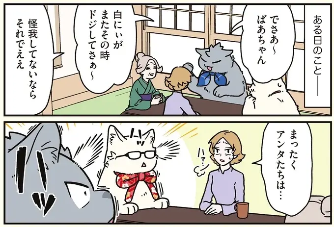 猫になった兄弟が同時にハッ！ その「察知力」に周囲が振り回されて／ブラック企業の社員が猫になって人生が変わった話8（3）