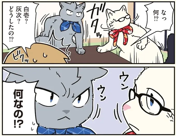 猫になった兄弟が同時にハッ！ その「察知力」に周囲が振り回されて／ブラック企業の社員が猫になって人生が変わった話8（4）