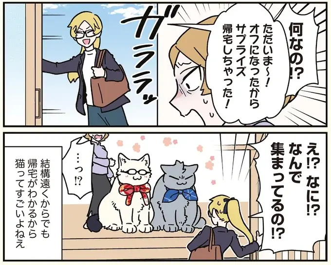 猫になった兄弟が同時にハッ！ その「察知力」に周囲が振り回されて／ブラック企業の社員が猫になって人生が変わった話8（6）