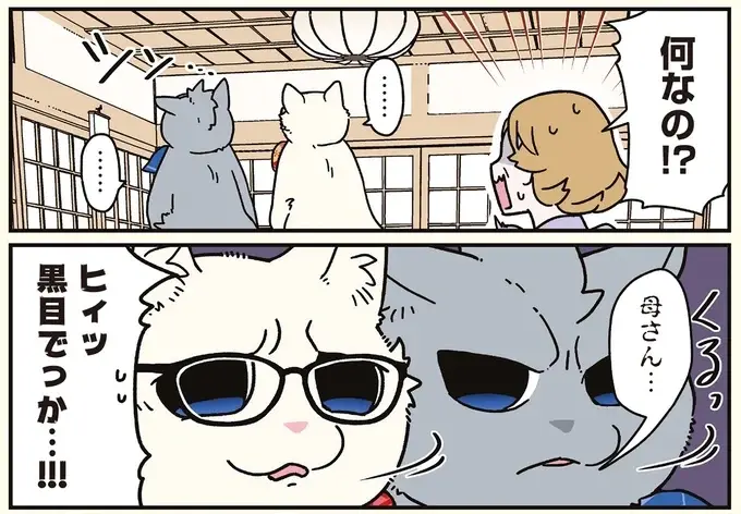 猫になった兄弟が同時にハッ！ その「察知力」に周囲が振り回されて／ブラック企業の社員が猫になって人生が変わった話8（9）