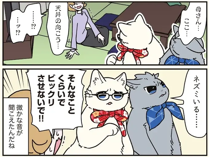 猫になった兄弟が同時にハッ！ その「察知力」に周囲が振り回されて／ブラック企業の社員が猫になって人生が変わった話8（10）