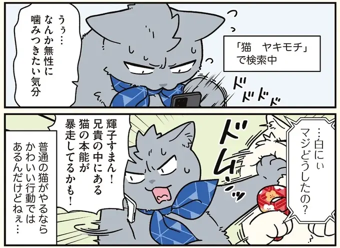 「寂しいの？」自宅に帰る妹を見送る、猫になった兄たち／ブラック企業の社員が猫になって人生が変わった話8（10）