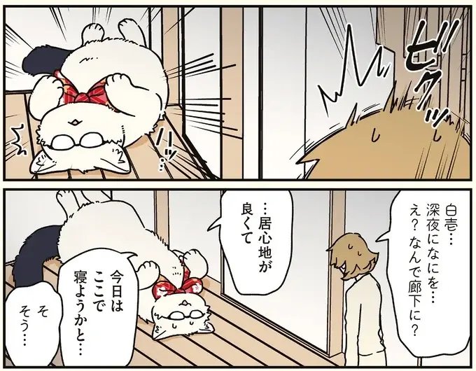 「居心地が良くて」。深夜、廊下や台所でくつろぐ猫兄弟／ブラック企業の社員が猫になって人生が変わった話8（4）
