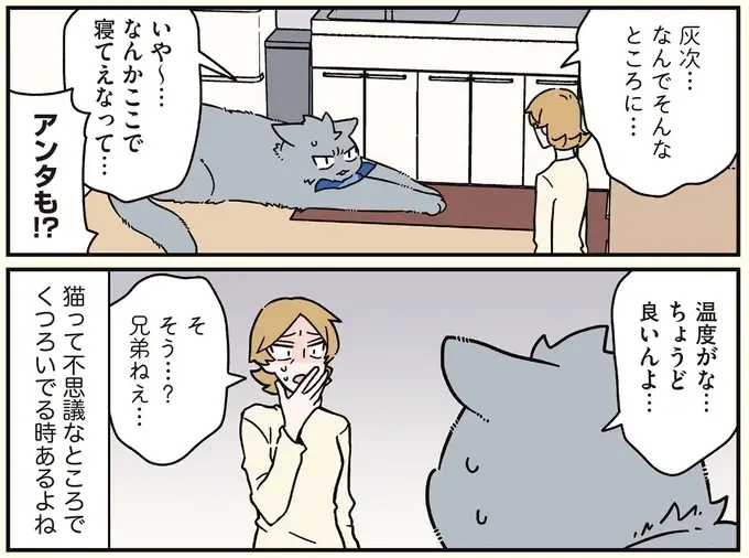 「居心地が良くて」。深夜、廊下や台所でくつろぐ猫兄弟／ブラック企業の社員が猫になって人生が変わった話8（6）