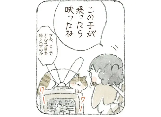 猫が電波を拾ってる!? 島のみんなが集まり、夢中になって見た初期のテレビ／ねことじいちゃん12（1）