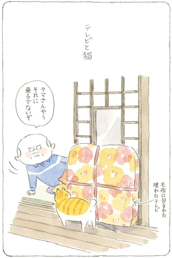 猫が電波を拾ってる!? 島のみんなが集まり、夢中になって見た初期のテレビ／ねことじいちゃん12（3）