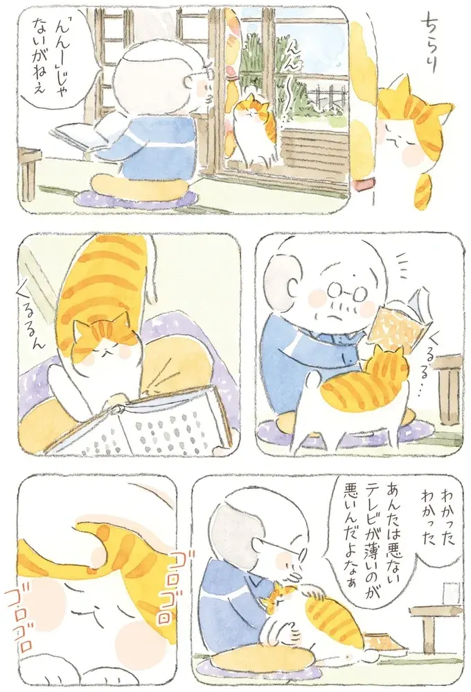 猫が電波を拾ってる!? 島のみんなが集まり、夢中になって見た初期のテレビ／ねことじいちゃん12（4）