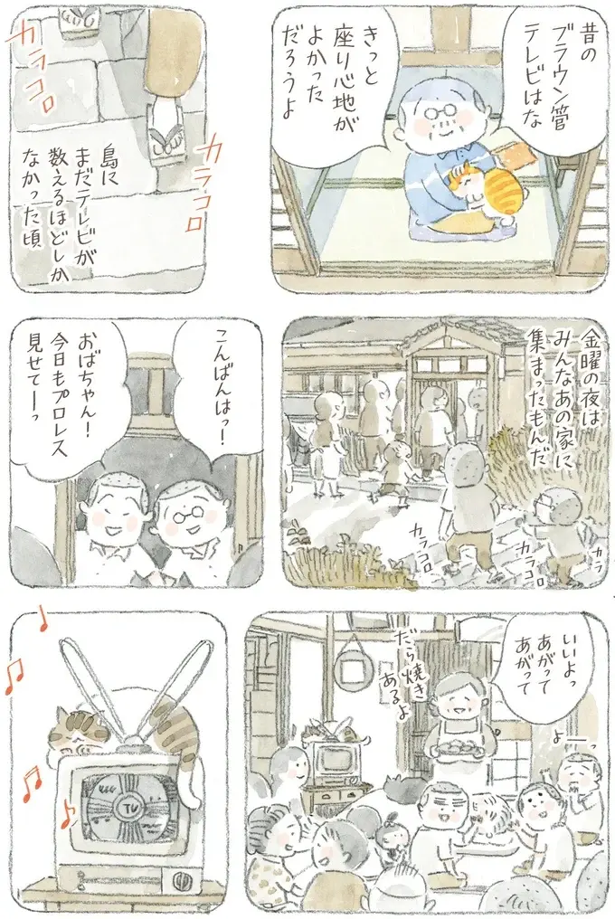 猫が電波を拾ってる!? 島のみんなが集まり、夢中になって見た初期のテレビ／ねことじいちゃん12（5）