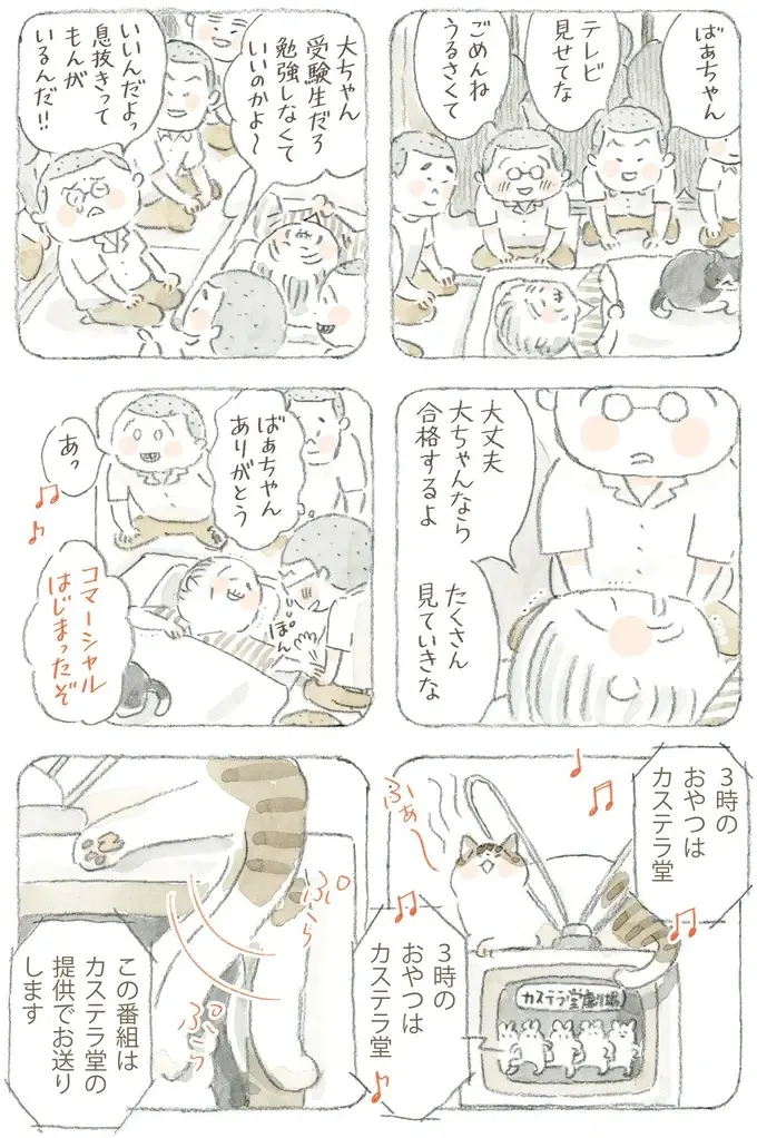 猫が電波を拾ってる!? 島のみんなが集まり、夢中になって見た初期のテレビ／ねことじいちゃん12（6）
