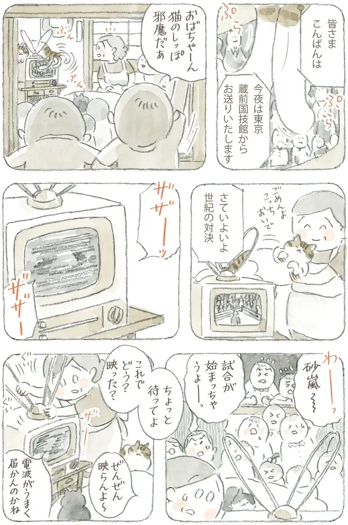 猫が電波を拾ってる!? 島のみんなが集まり、夢中になって見た初期のテレビ／ねことじいちゃん12（7）