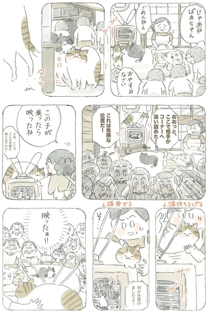 猫が電波を拾ってる!? 島のみんなが集まり、夢中になって見た初期のテレビ／ねことじいちゃん12（9）