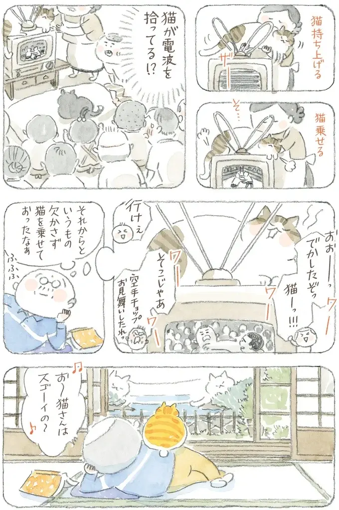 猫が電波を拾ってる!? 島のみんなが集まり、夢中になって見た初期のテレビ／ねことじいちゃん12（10）