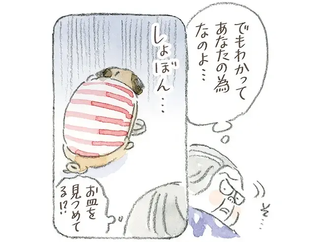 猫も犬も長生きしてほしい...ダイエットが辛いのはペットも飼い主も同じ!?／ねことじいちゃん12（1）