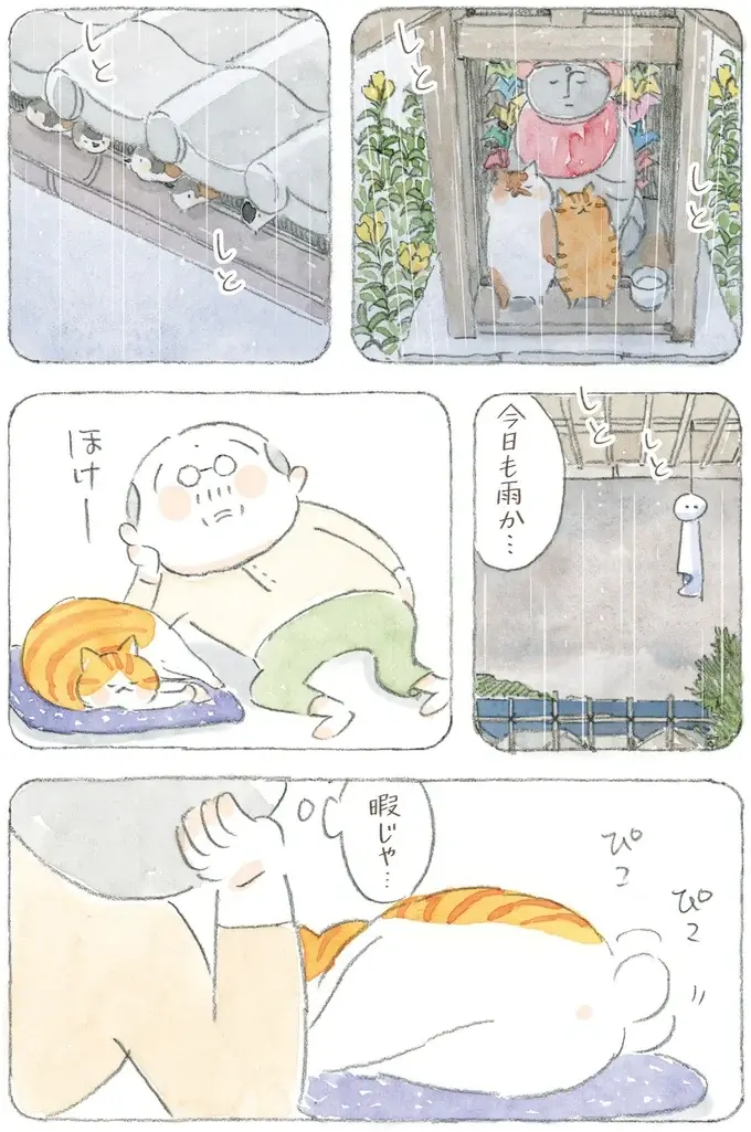 猫も犬も長生きしてほしい...ダイエットが辛いのはペットも飼い主も同じ!?／ねことじいちゃん12（4）