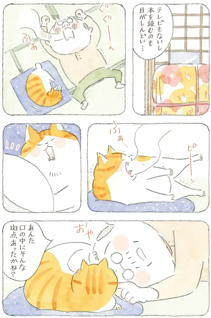 猫も犬も長生きしてほしい...ダイエットが辛いのはペットも飼い主も同じ!?／ねことじいちゃん12（5）