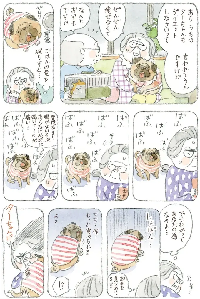 猫も犬も長生きしてほしい...ダイエットが辛いのはペットも飼い主も同じ!?／ねことじいちゃん12（8）