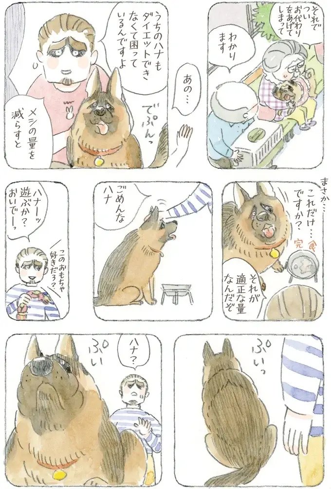 猫も犬も長生きしてほしい...ダイエットが辛いのはペットも飼い主も同じ!?／ねことじいちゃん12（9）